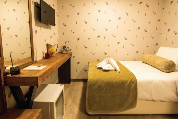 ECONOMY SINGLE ROOM